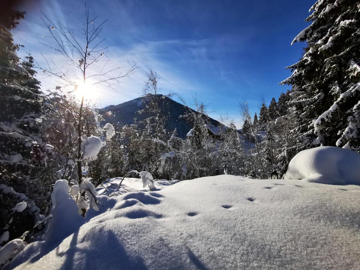 Chalet Caprea バド クラインキルヒハイム エクステリア 写真