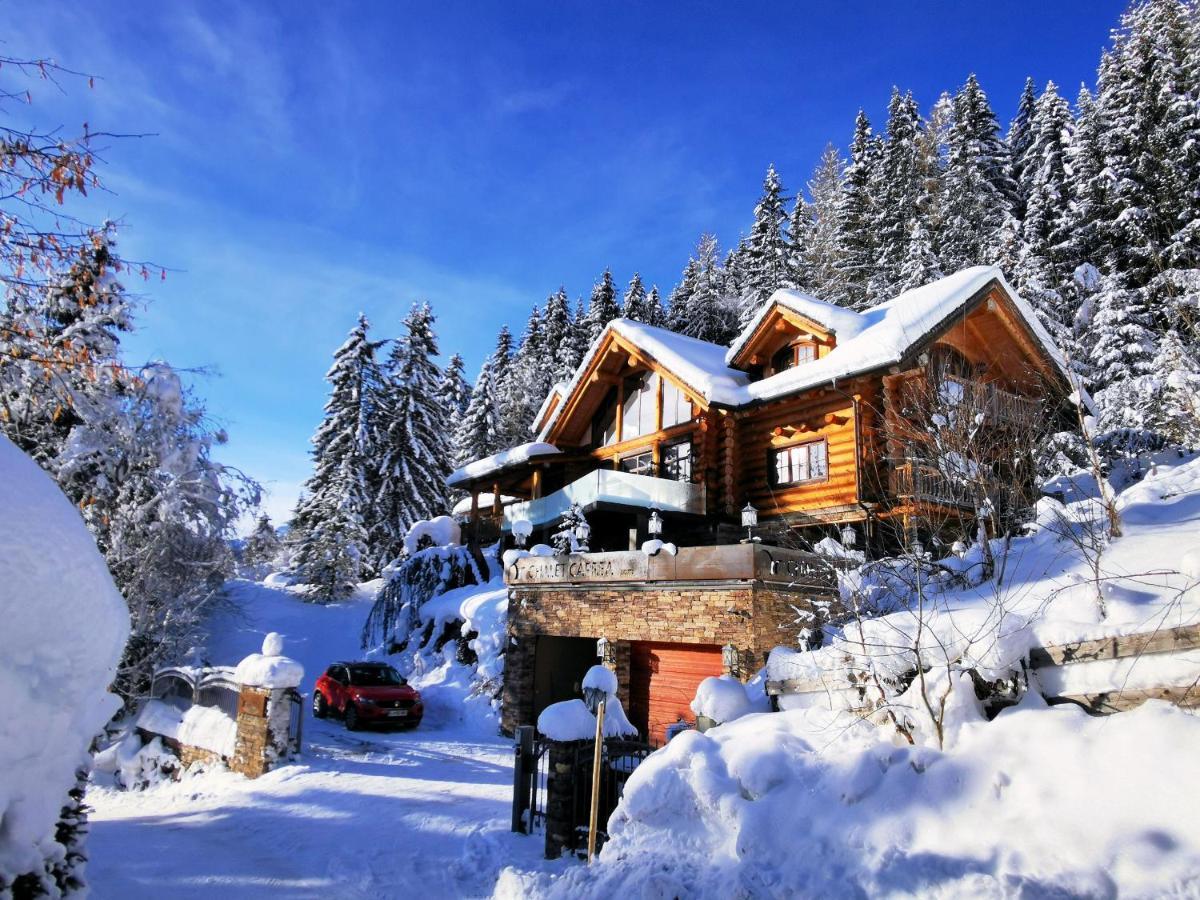 Chalet Caprea バド クラインキルヒハイム エクステリア 写真