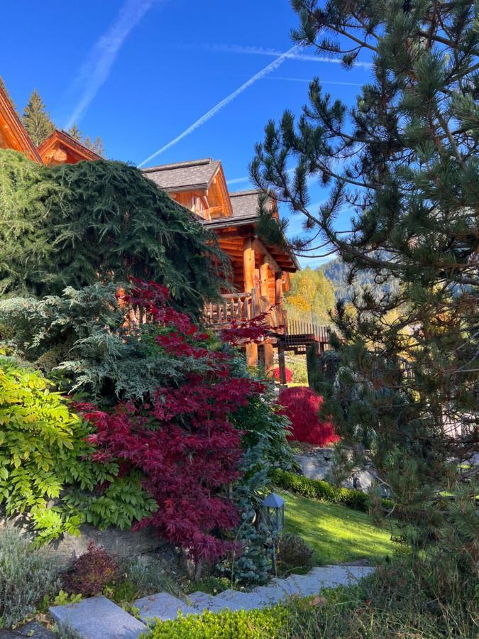 Chalet Caprea バド クラインキルヒハイム エクステリア 写真