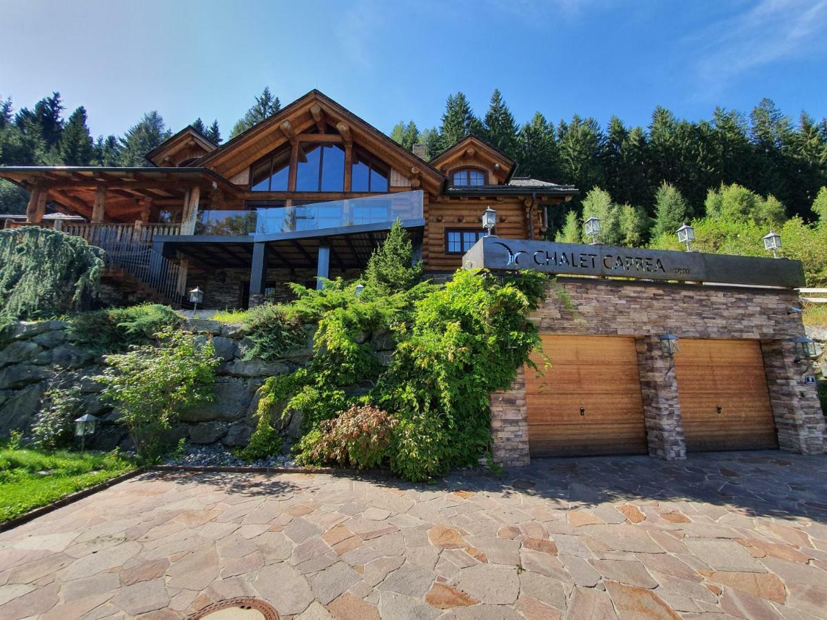 Chalet Caprea バド クラインキルヒハイム エクステリア 写真